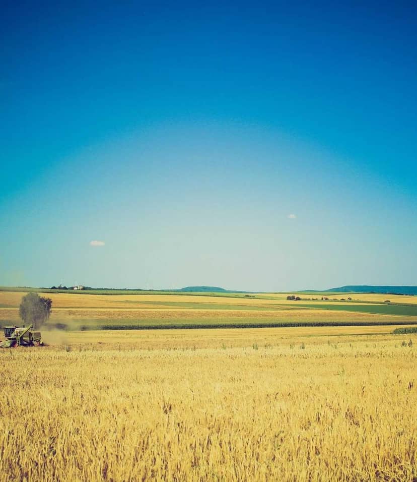 Unauth title uLYsrSgt